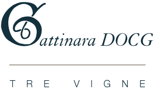 Gattinara D.O.C.G. Tre Vigne